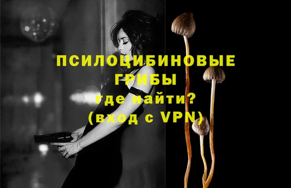 ешки Михайловск