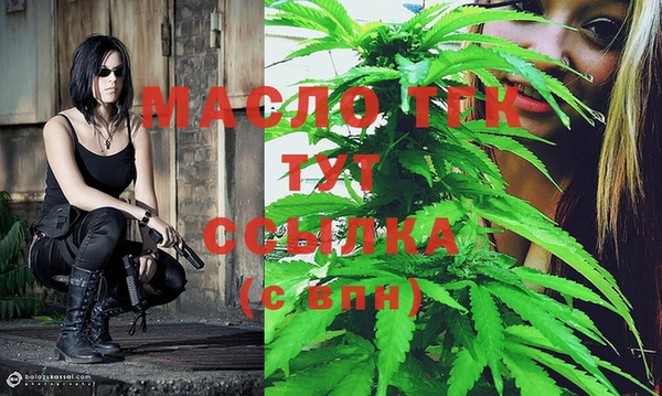мдпв Михайлов