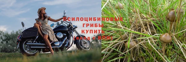мдпв Михайлов