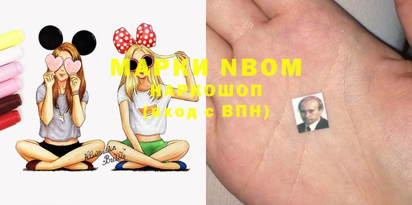 мдпв Михайлов