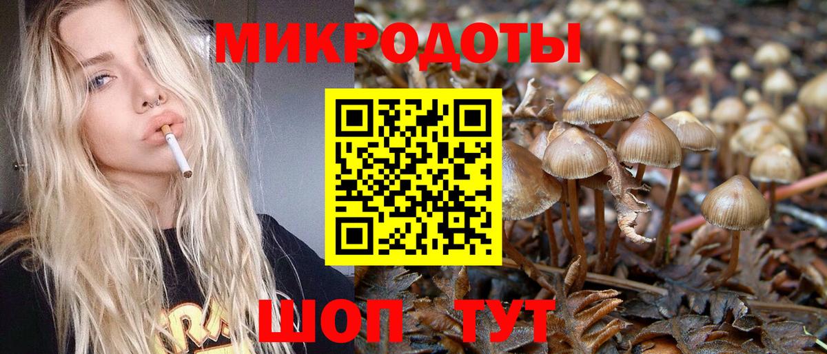Галлюциногенные грибы Psilocybe  Сургут  купить наркоту  Псилоцибиновые грибы GOLDEN TEACHER 